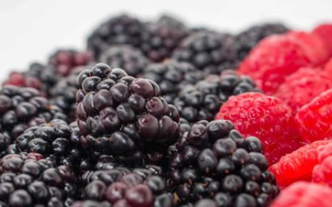 Moras