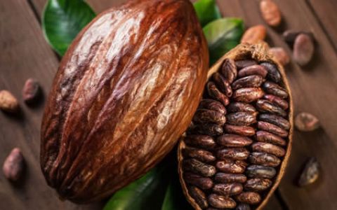 Cacao