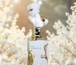 Novedades perfumes arabes