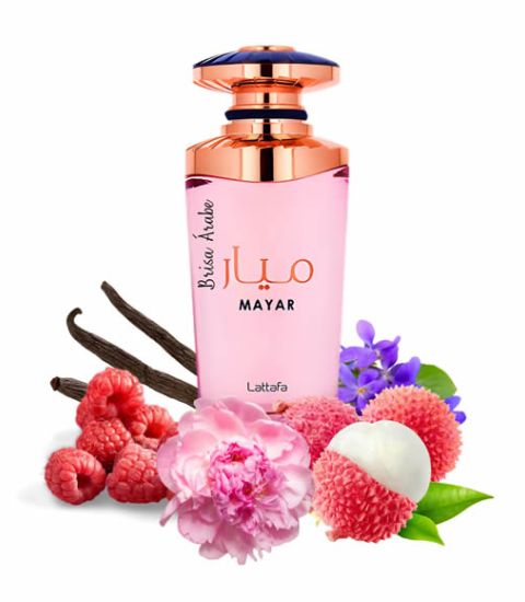 mayar lattafa