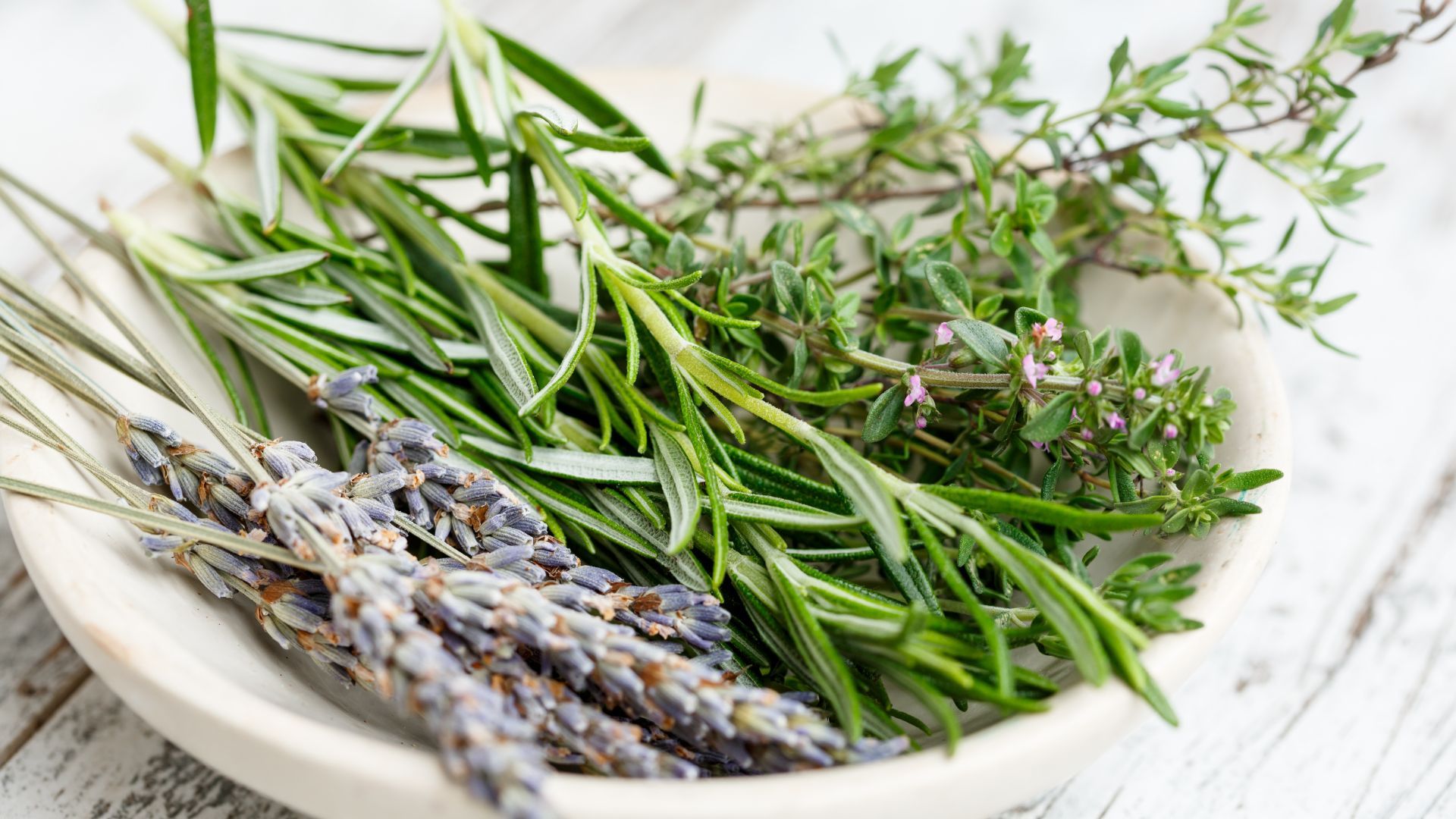 Aromatica