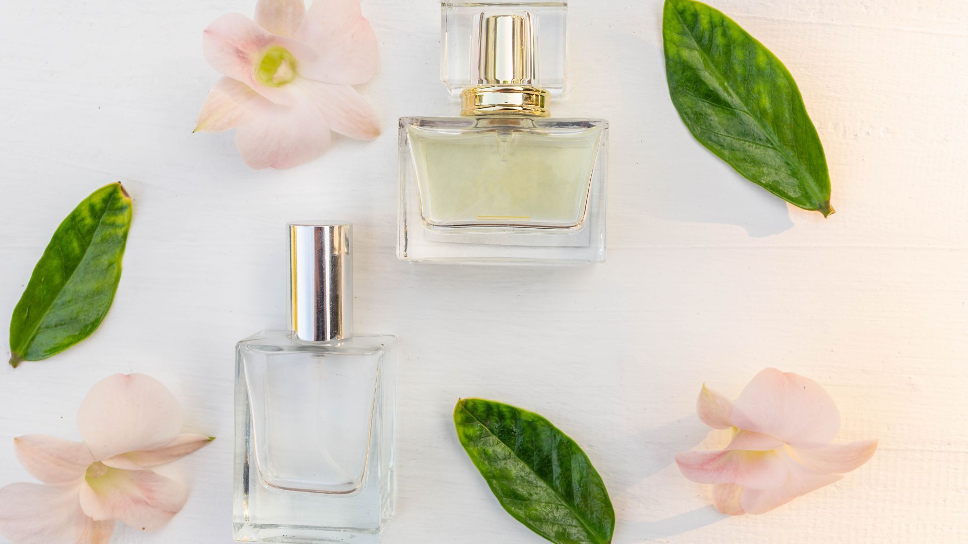 Perfumes frescos, perfumes arabes citricos