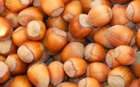 Avellanas