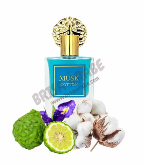 Musk Cotton