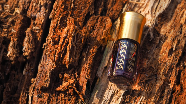 oud perfume, oud